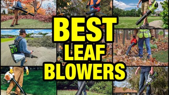 Best Leaf Blower Reviews